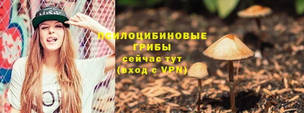 марки lsd Богородицк