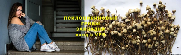 синтетический гашиш Богородск