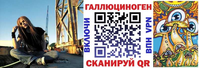 где купить наркоту  Кондопога  Галлюциногенные грибы Psilocybe 